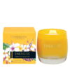 Infusion - Energise - Lemon Tea & Grapefruit - Scented Candle