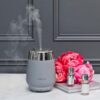 Luna - Perfume Mist Diffuser - Grey/Silver