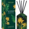 70406-scaled_5044aaa8-79df-4152-886b-08ec004e2c65-1.jpg Urban Botanics - Ceramic - Nectarine Blossom | Jasmine Tea - Reed Diffuser