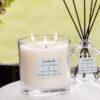 Modern Classics - Silver Birch & Black Pepper - 3-Wick Candle