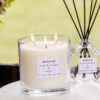 70635_Plum_Blossom_Musk_Modern_Classics_Lifestyle__66762-2.jpg Modern Classics - Plum Blossom & Musk - 3-Wick Candle