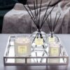 Modern Classics - Grapefruit & Mimosa- Reed Diffuser Large 460ml