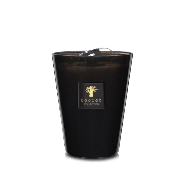 Candle Les Prestigieuses Encre De Chine [Leather-Sequoia-Amber]
