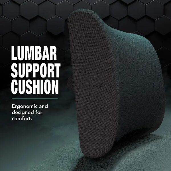Lumbar Back Pillow