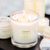 Modern Classics - Grapefruit & Mimosa- 3-Wick Candle
