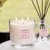 Pink_Peony_Modern_Classics_Lifestyle-46__05651-2.jpg Modern Classics - Pink Peony & Gardenia - 3-Wick Candle