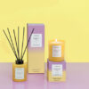 Sunlit-Yuzu-Sol-Collection-Lifestyle-2__97885-1.jpg Sol - Sunlit Yuzu - Scented Reed Diffuser 130ml - Yellow Glass